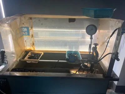 Prototype Testing
